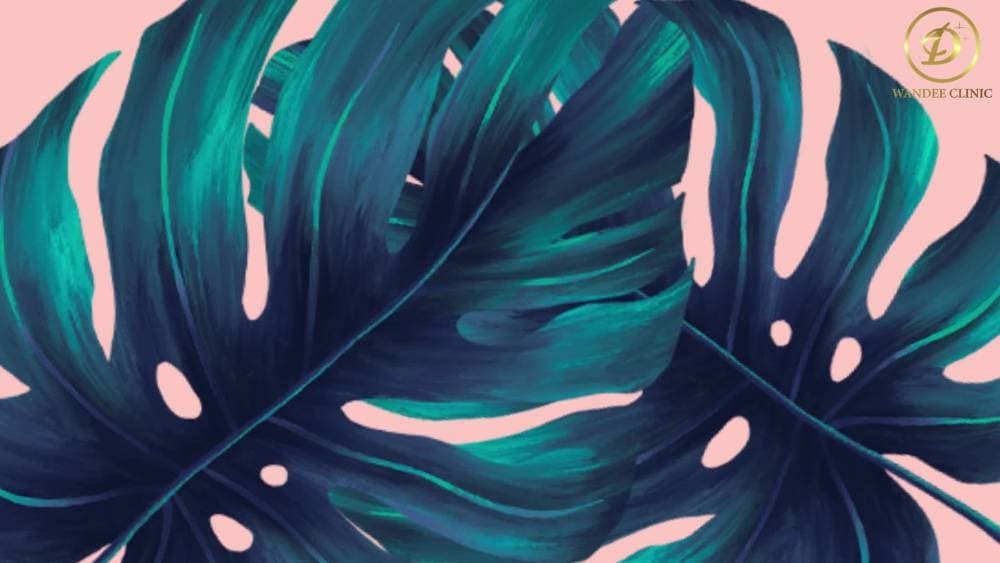 Wandee Clinic ( วันดี คลินิก ขอนแก่น ) - แพร่ | clinic